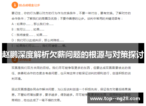 赵鹏深度解析欠薪问题的根源与对策探讨