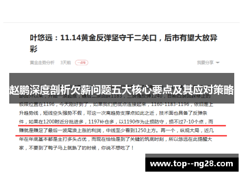 赵鹏深度剖析欠薪问题五大核心要点及其应对策略